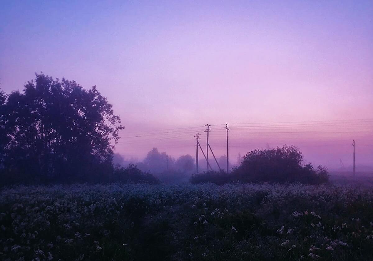 开云官网：连接美学与信任的入口